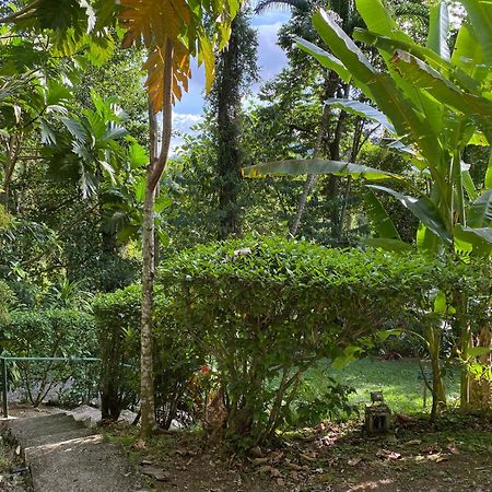 Colina Secreta - Glamping And Villas Puerto Viejo de Talamanca Eksteriør billede
