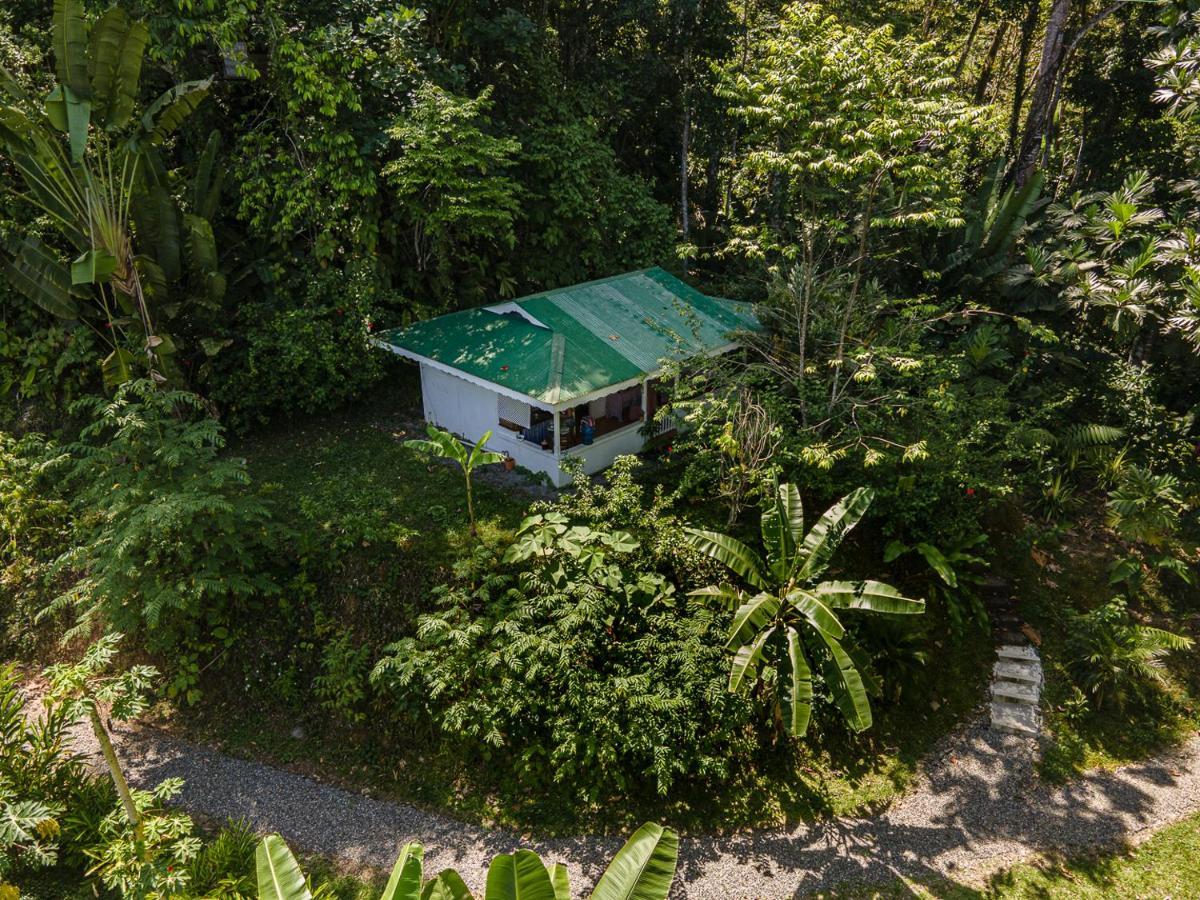 Colina Secreta - Glamping And Villas Puerto Viejo de Talamanca Eksteriør billede