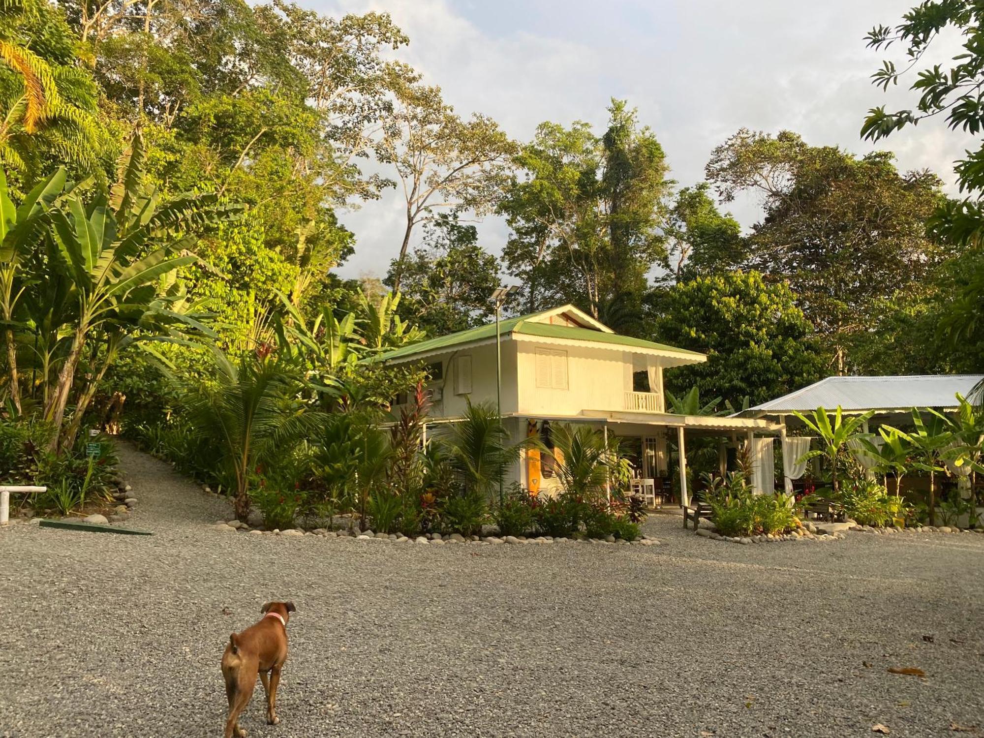 Colina Secreta - Glamping And Villas Puerto Viejo de Talamanca Eksteriør billede