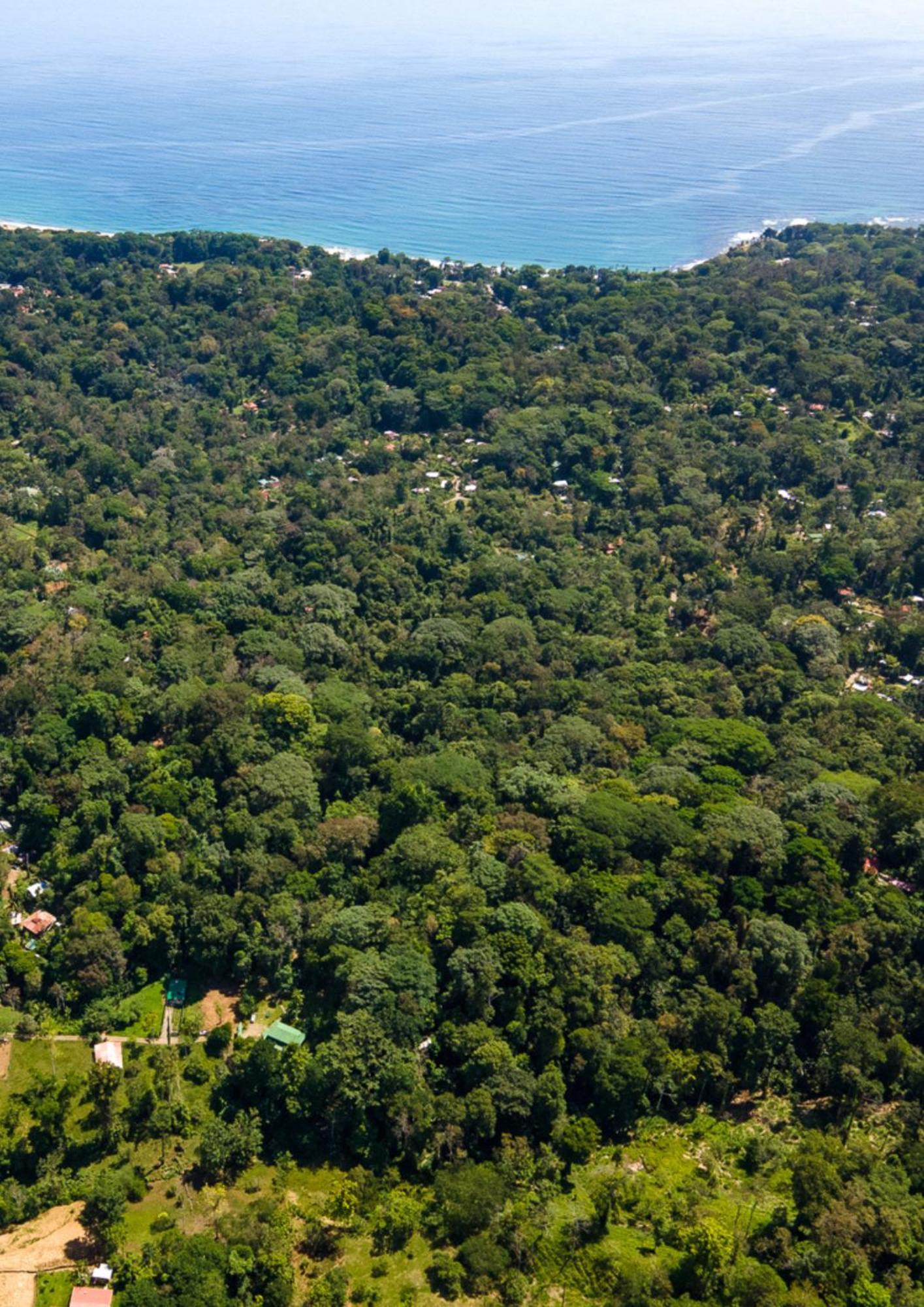 Colina Secreta - Glamping And Villas Puerto Viejo de Talamanca Eksteriør billede