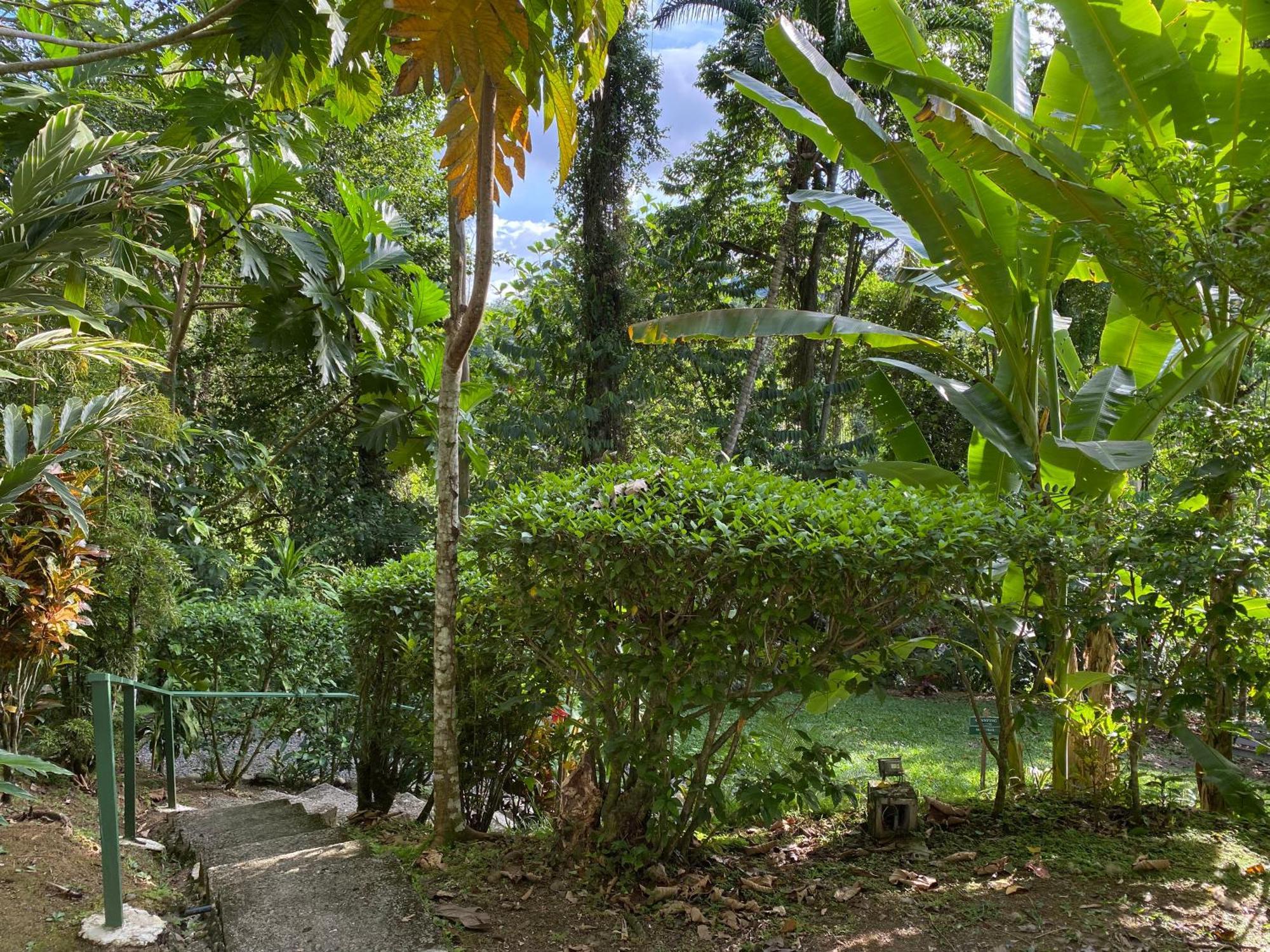 Colina Secreta - Glamping And Villas Puerto Viejo de Talamanca Eksteriør billede